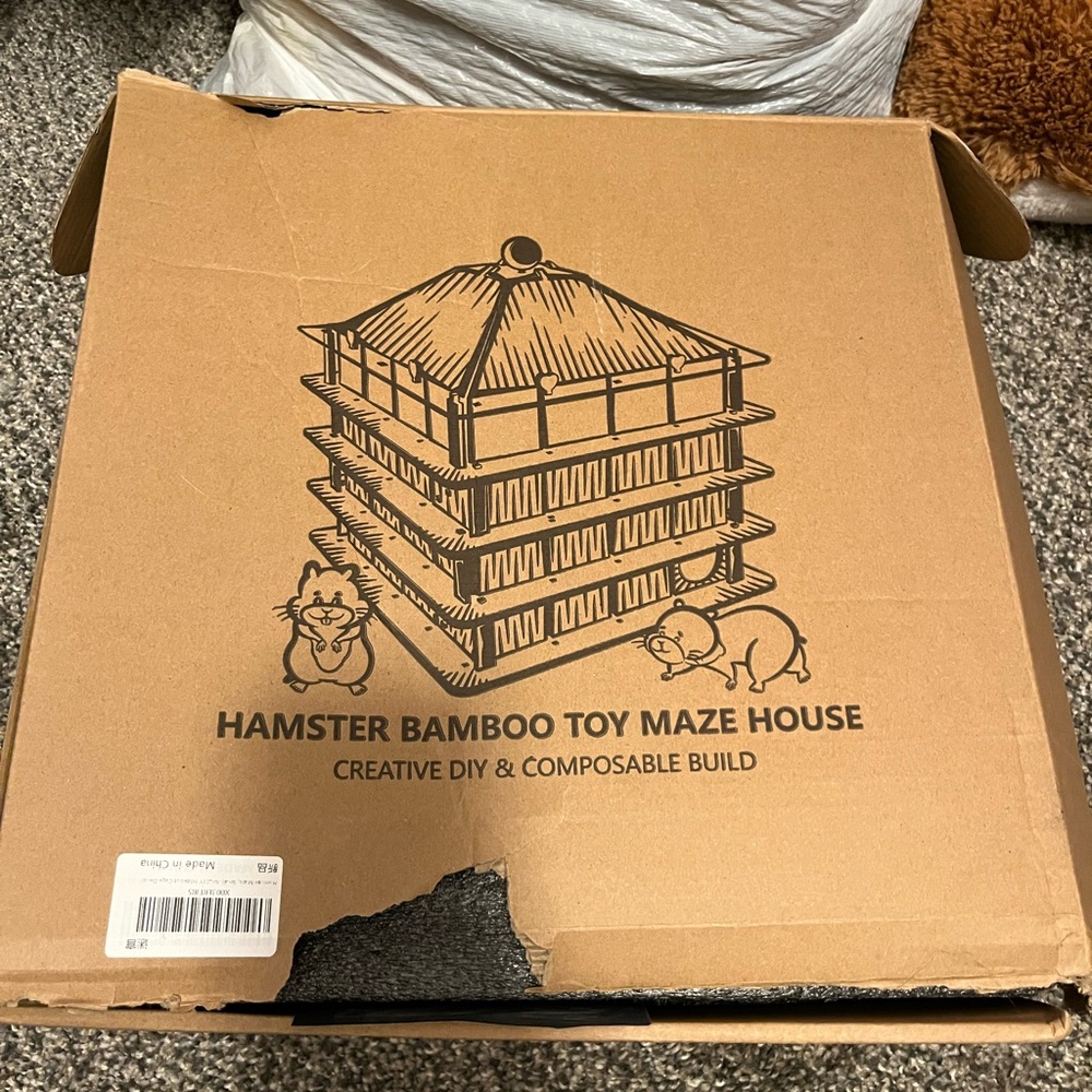 Hamster Maze